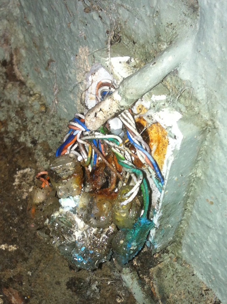 Waterlogged BT junction box found on site